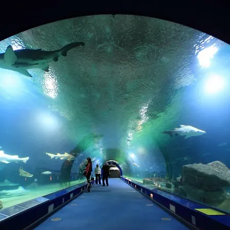 Casa Cabanyal Валенсия